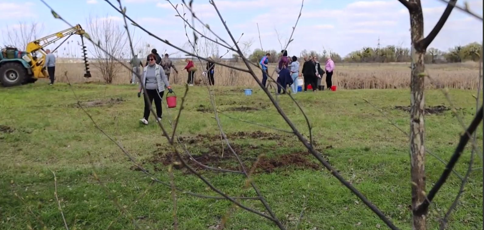 Фото: скріншот з відео Зміївської міської ради Толока на міському пляжі: висадили нові дерева та кущі на порталі Gromada Group