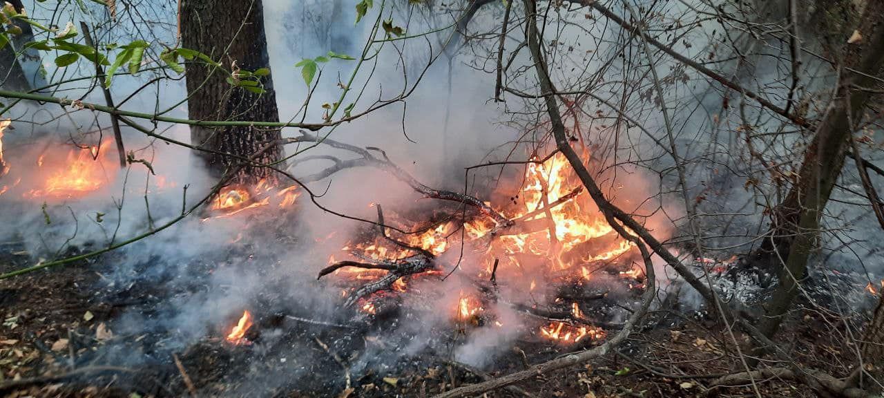 Поліція застерігає мешканців Нововодолазької громади від спалювання сухої рослинності на порталі Gromada Group