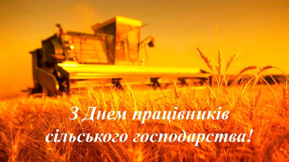 Світлини: ХОВА, Ізюмська РВА, Борівська СВА Сьогодні — День працівників сільського господарства на порталі Gromada Group