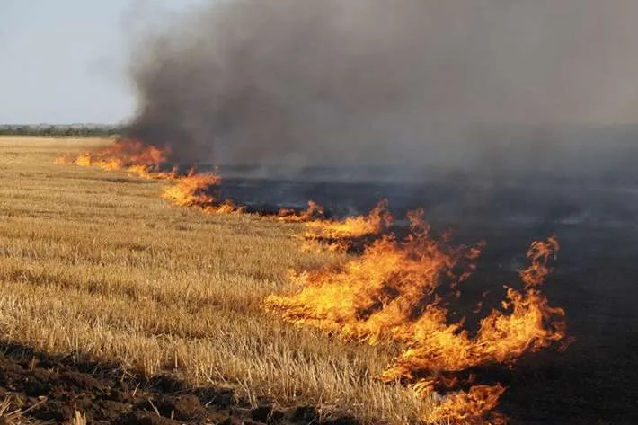 Arsonists in Dergachivska hromada will be fined UAH 6 thousand! at the Gromada Group Media