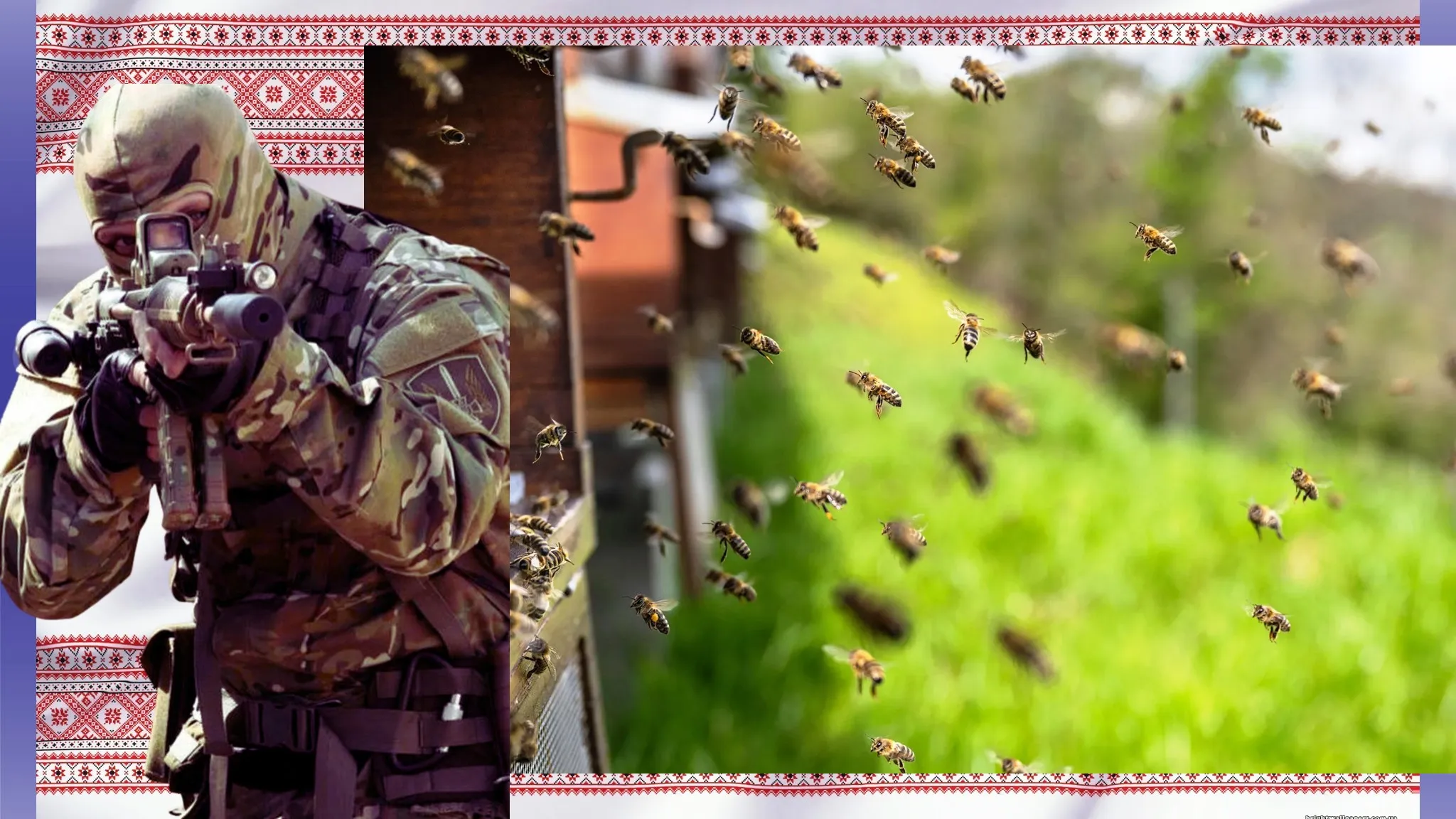 Catastrophically low honey harvest in 2025. Honey prices hit record highs. Collage by Olena Zelenina at the Gromada Group Media
