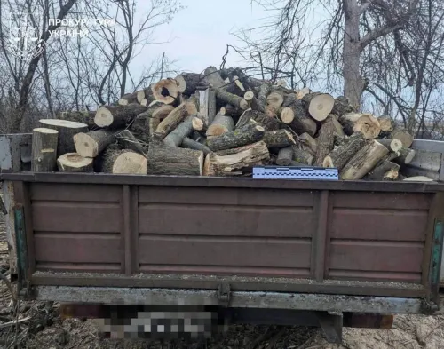 Спиляв 42 дерева та підставив робітника: на Харківщині судитимуть чоловіка за збитки у пів мільйона гривень на порталі Gromada Group