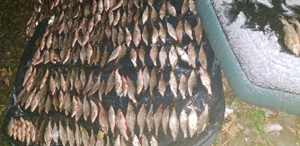 The police caught a poacher who caught fish worth 760,000 hryvnias at the Gromada Group Media