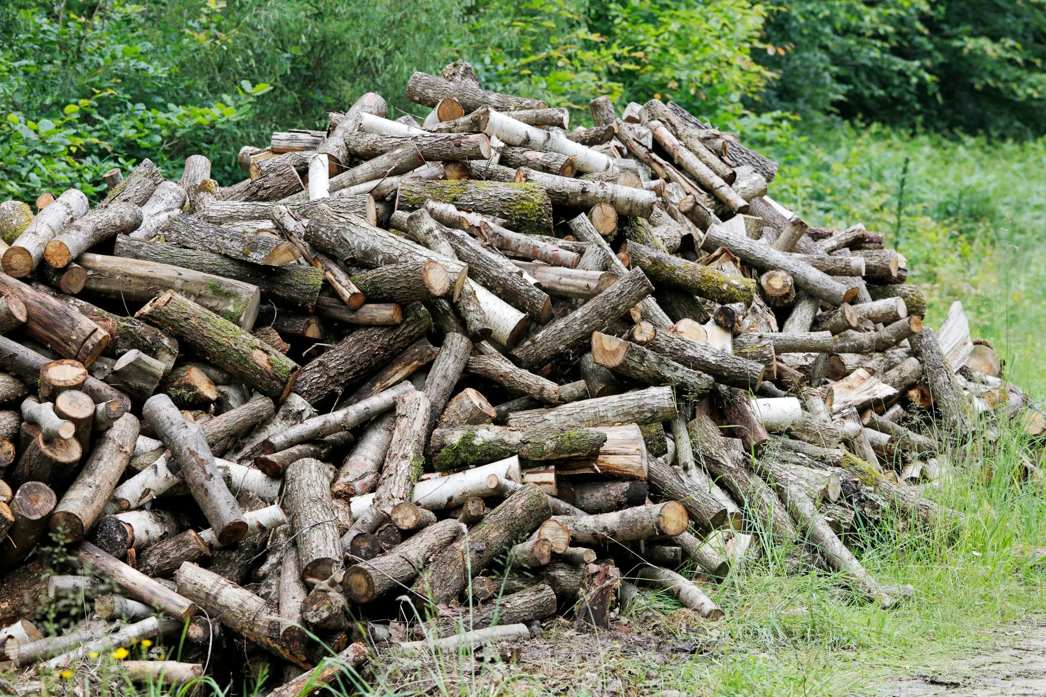 Dergachi is accepting applications for one-time assistance with the purchase of solid fuel at the Gromada Group Media