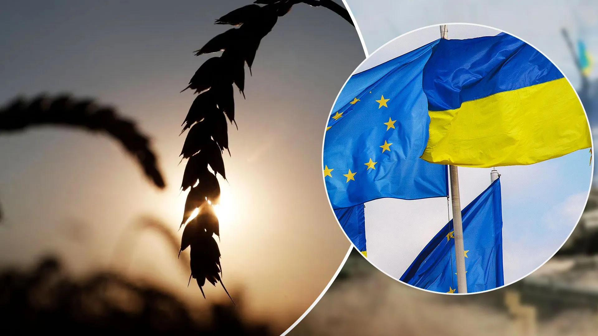 Що принесе українському селу входження у простір Єдиної Європи? на порталі Gromada Group