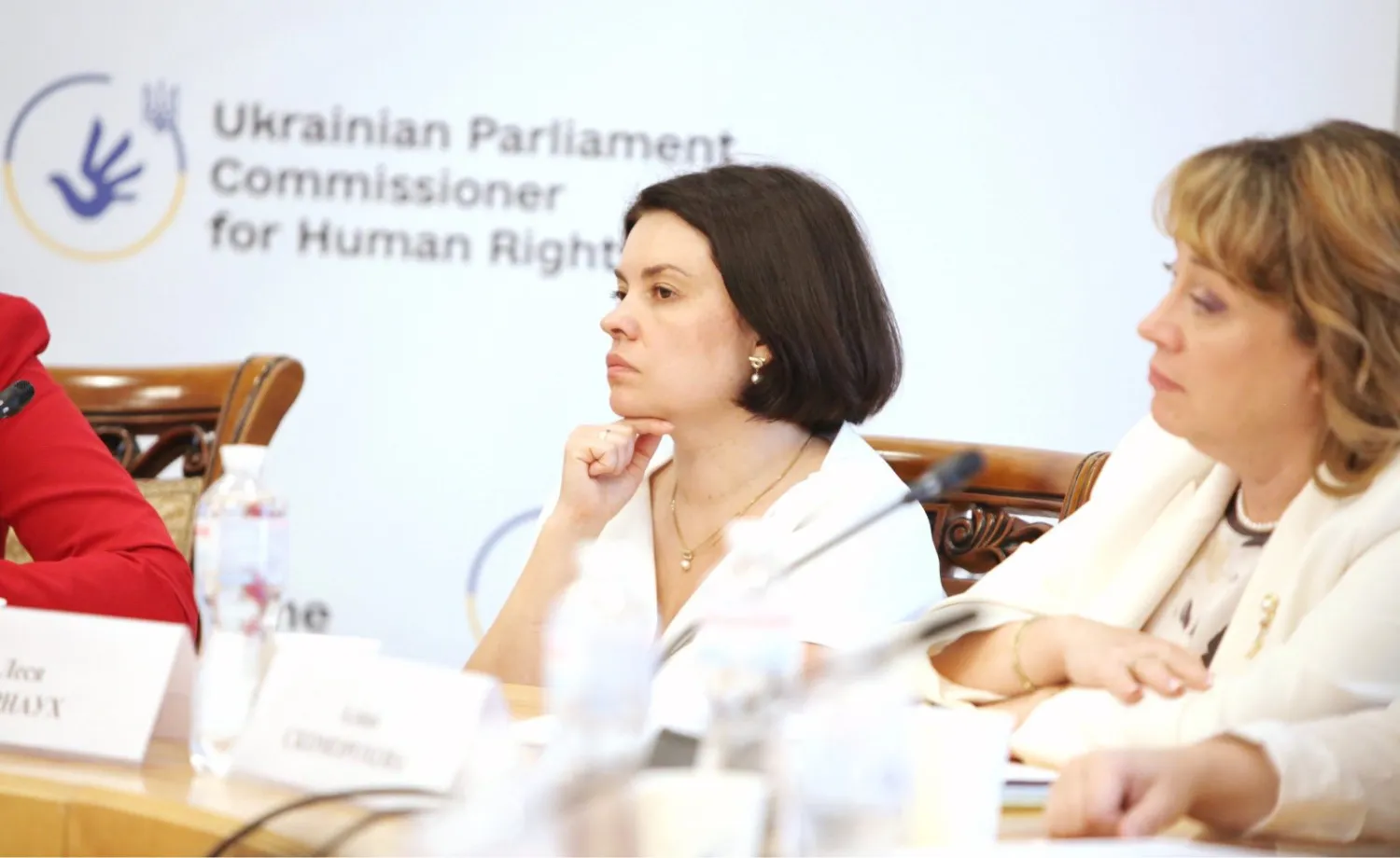 Ukrainians declared 35.1 billion in foreign income received in 2024 - Lesya Karnaukh at the Gromada Group Media