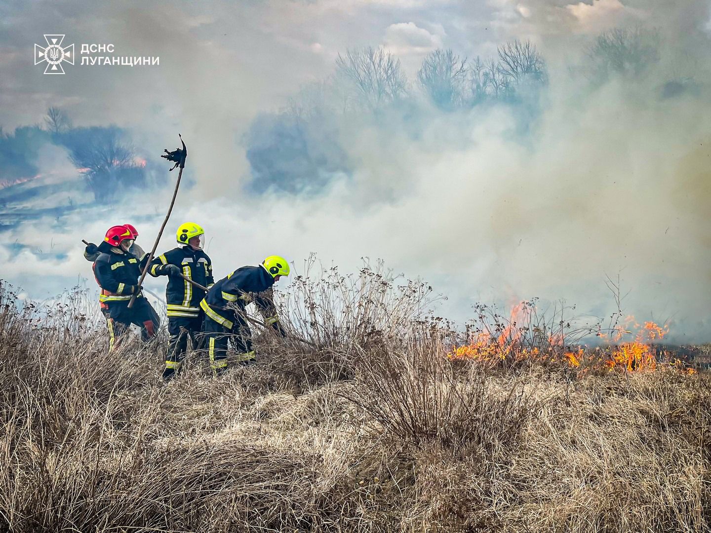 Фото: ДСНС У Соколовому Зміївської громади ліквідували пожежу в екосистемі на порталі Gromada Group