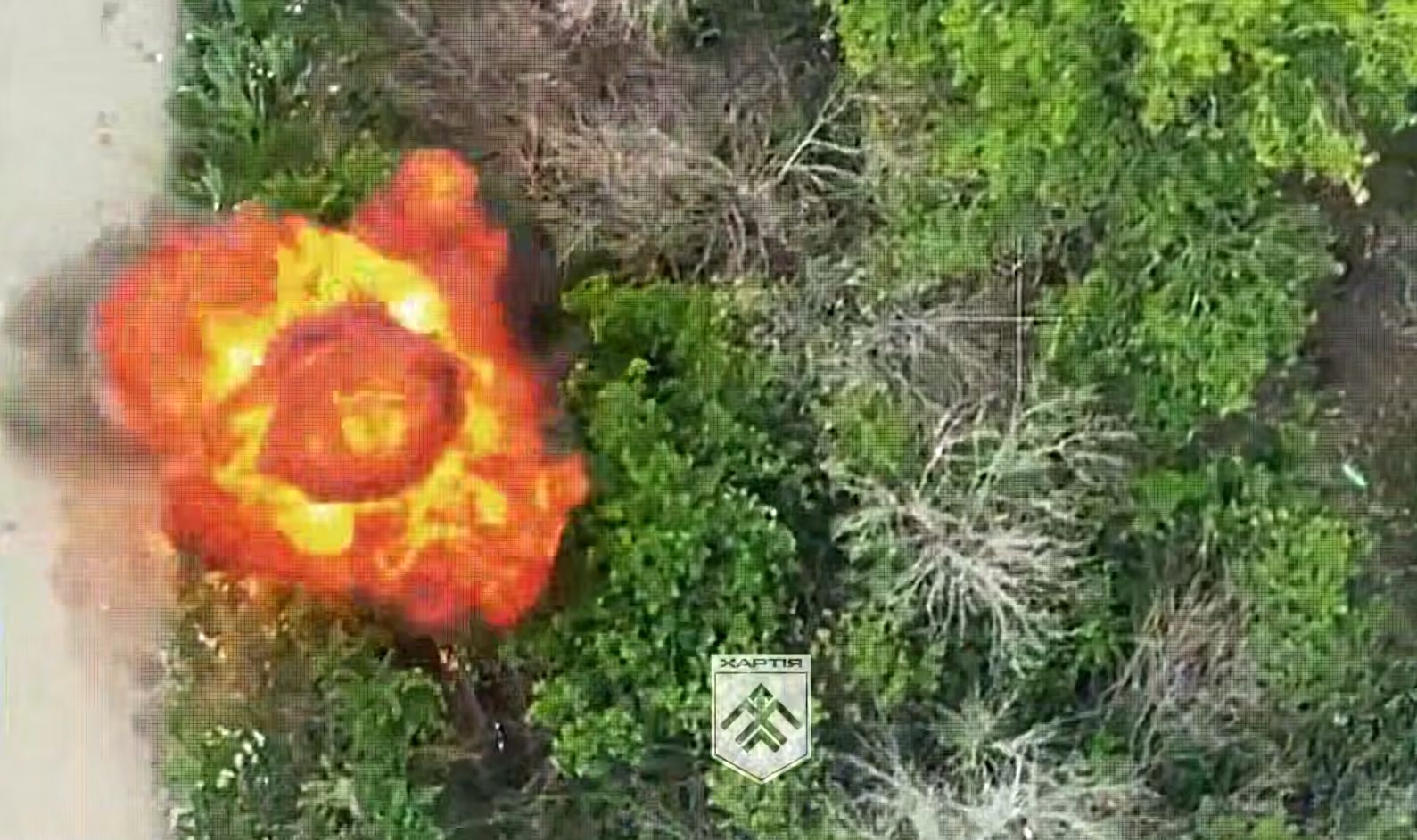 Скриншот з відео Збили з дерева, виколупали з нори, набили на галявинах та стежках: у Липецькій громаді «Хартія» знищила взвод росіян на порталі Gromada Group