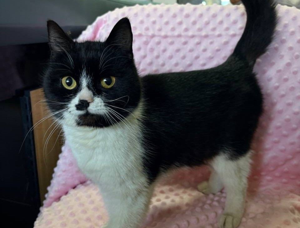 Gromada group media news