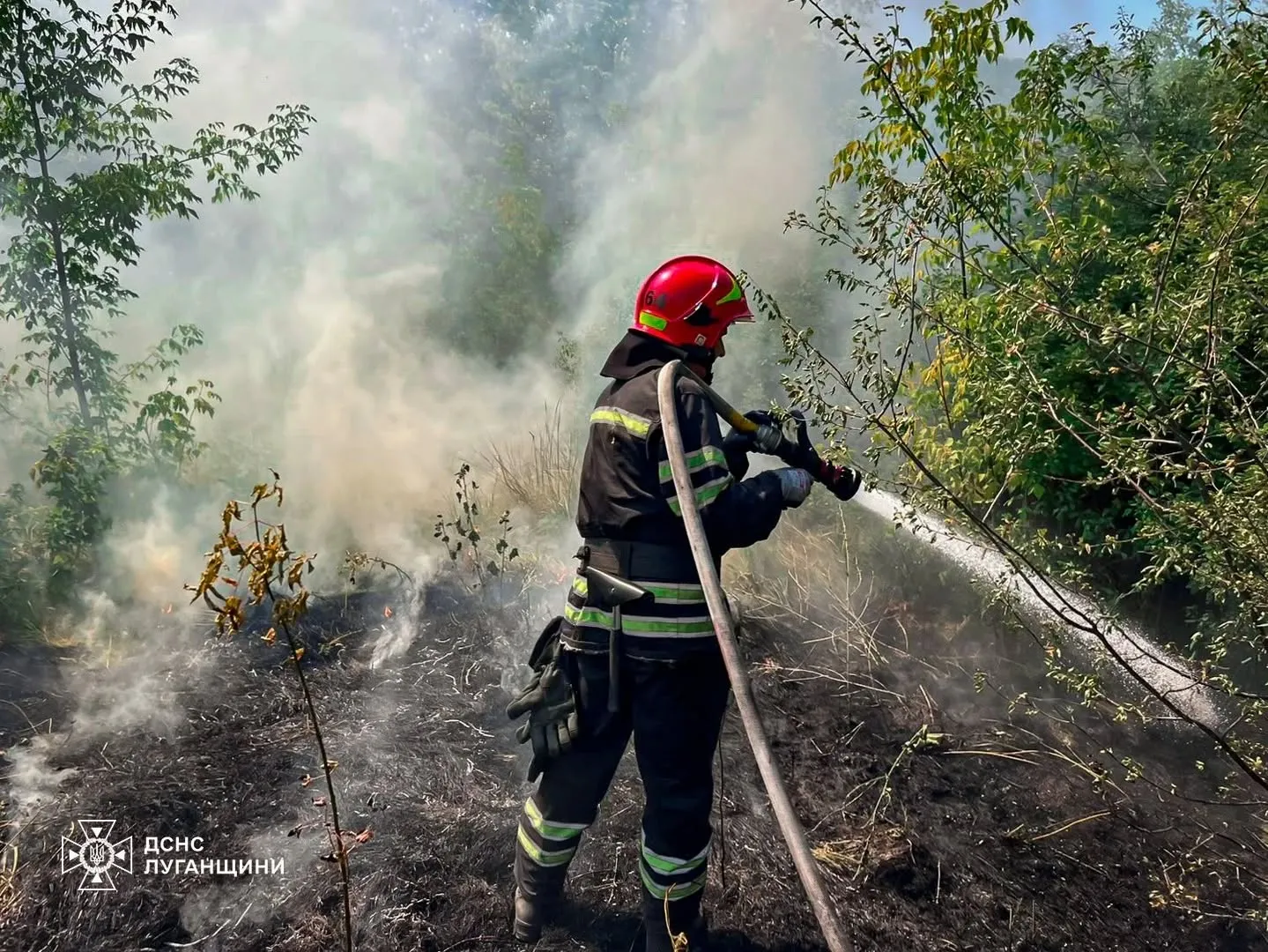 Фото: фейсбук / ГУ ДСНС України у Луганській області Де палало в Зміївській громаді минулого тижня на порталі Gromada Group