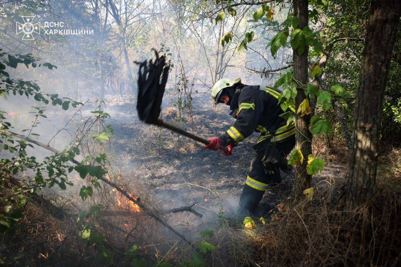 Фото: ДСНС Харківщини Поблизу Циркунів ліквідували масштабну пожежу на порталі Gromada Group