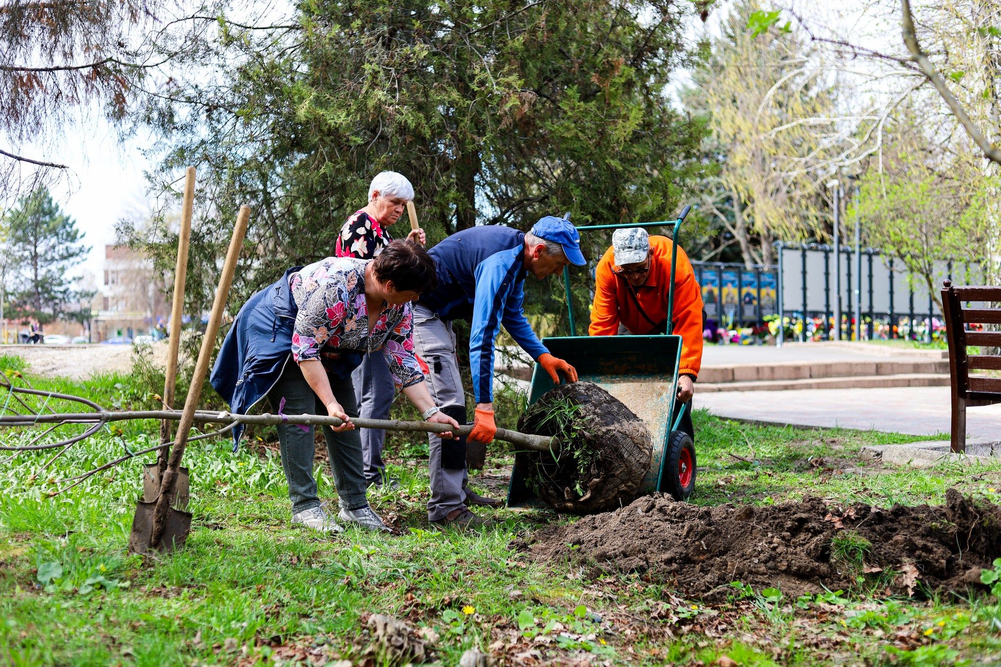 Нові троянди – для Нової Водолаги на порталі Gromada Group