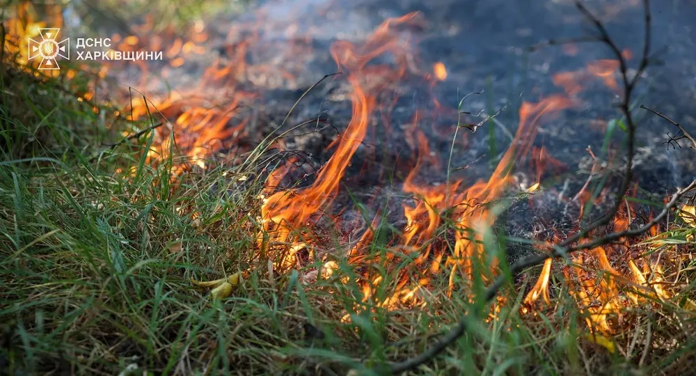In the past day, the Kharkiv region has been plagued by terrorist attacks and fires in ecosystems at the Gromada Group Media