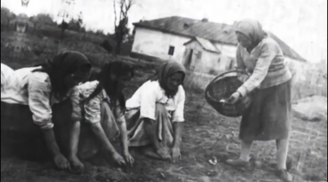 «Запали свічку пам’яті»: учні Слобожанського ліцею створили відео на вшанування жертв Голодомору на порталі Gromada Group