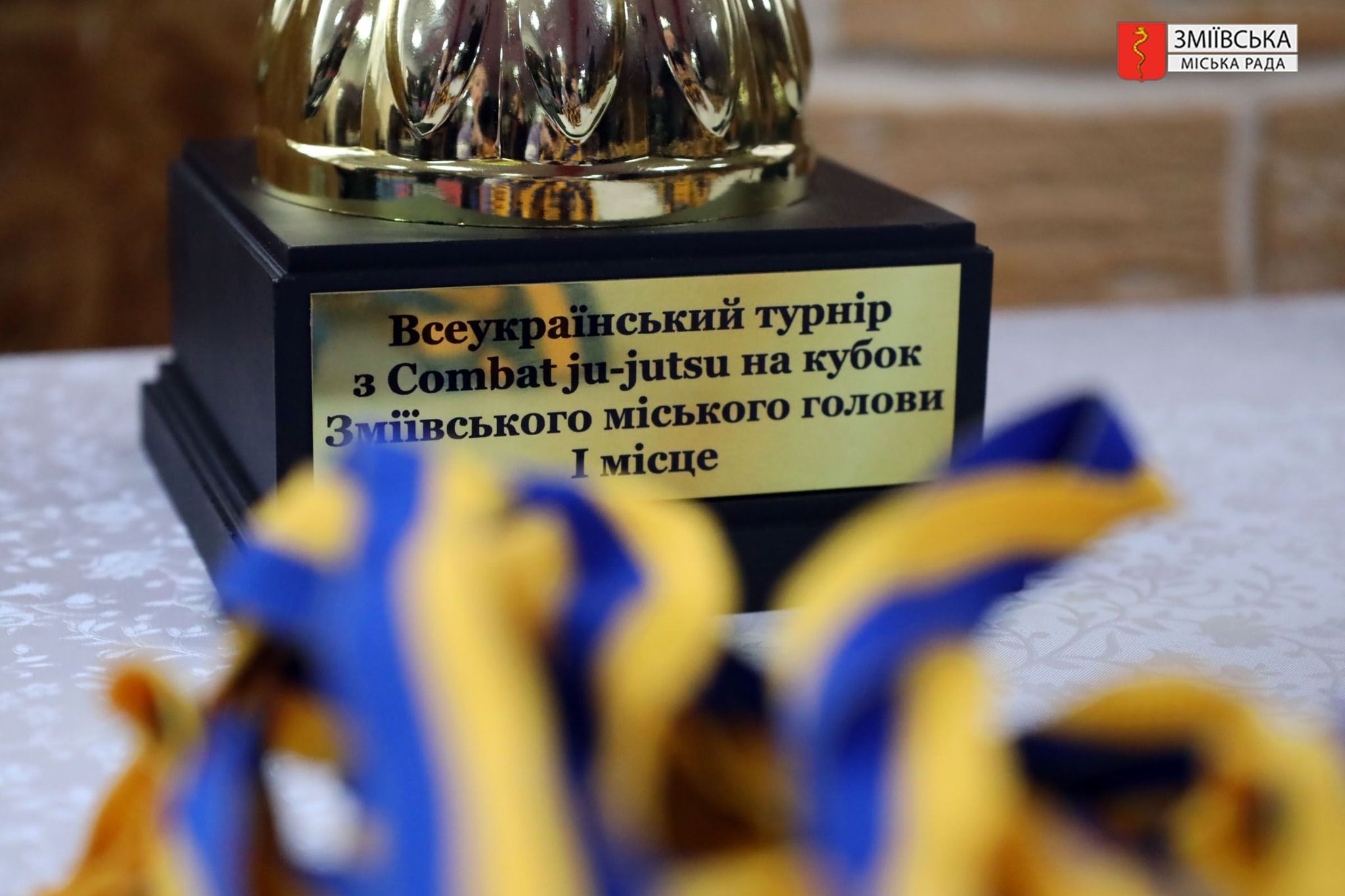 Фото: Зміївська міська рада Турнір з комбат джиу-джитсу на Кубок міського голови пройшов у Змієві на порталі Gromada Group