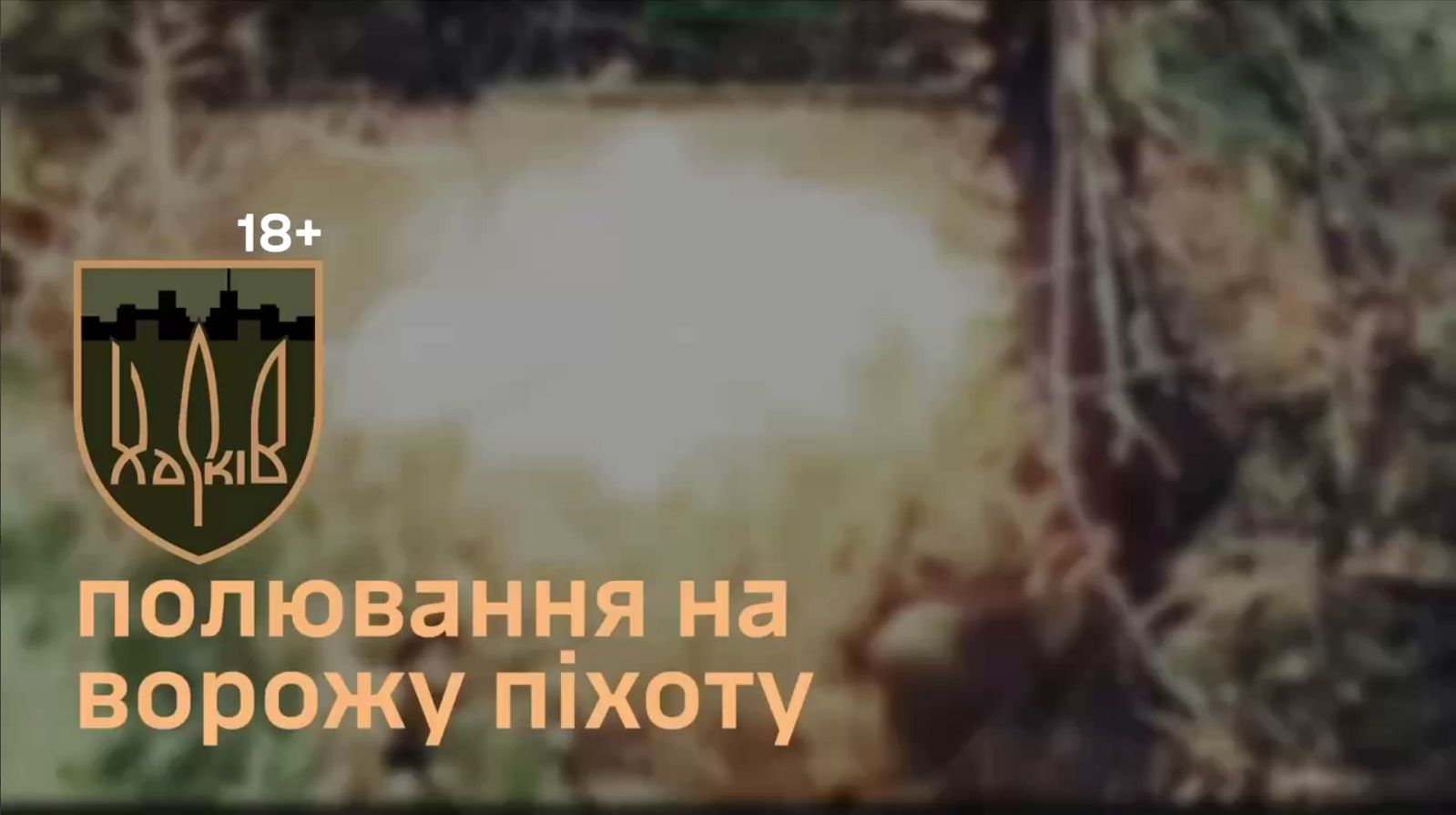 Скриншот з відео Полювання на окупантів у лісі: як виявляють і ліквідують росіян показали у 127-й бригаді на порталі Gromada Group