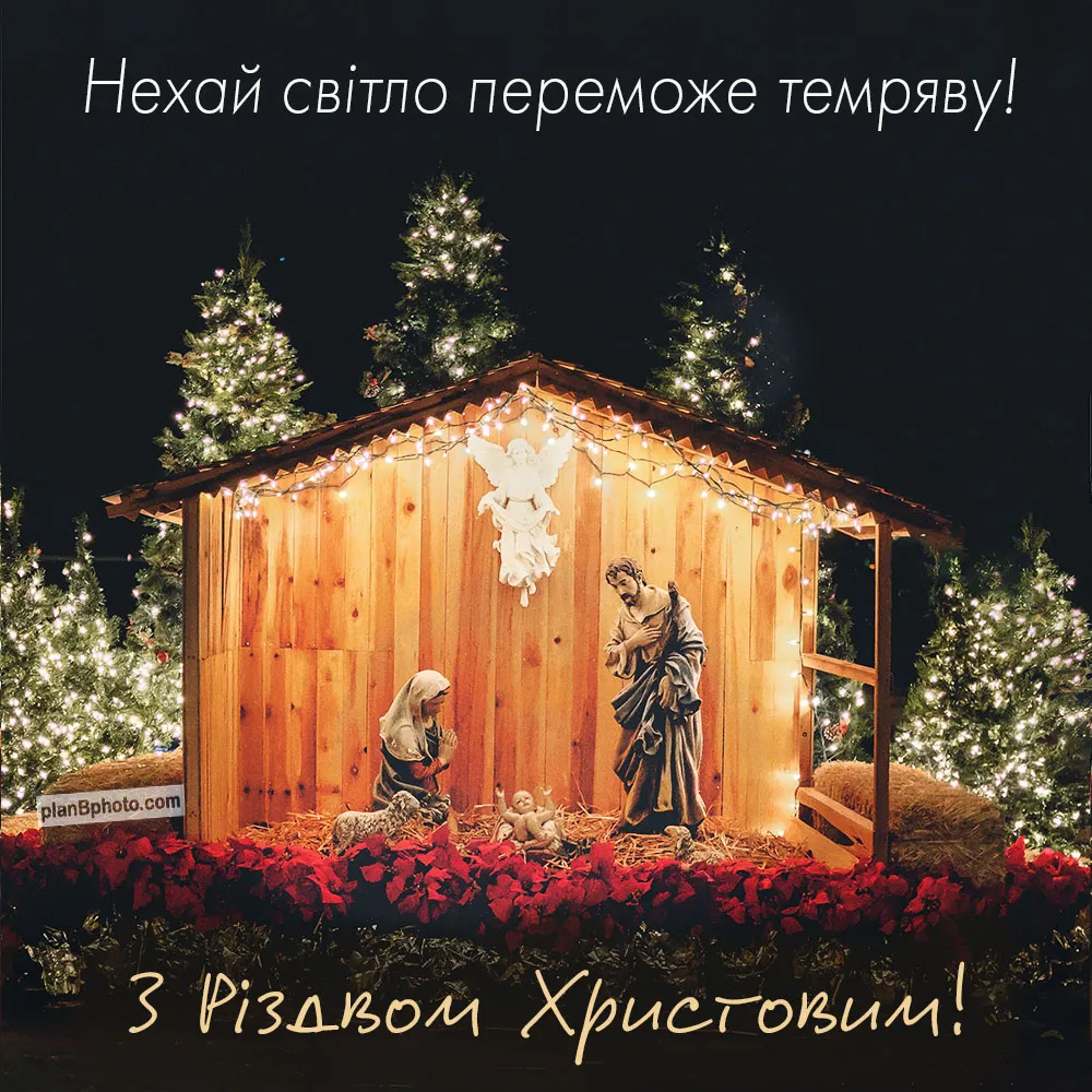 З Різдвом Христовим! Привітання краснокутського селищного голови Ірини Карабут на порталі Gromada Group