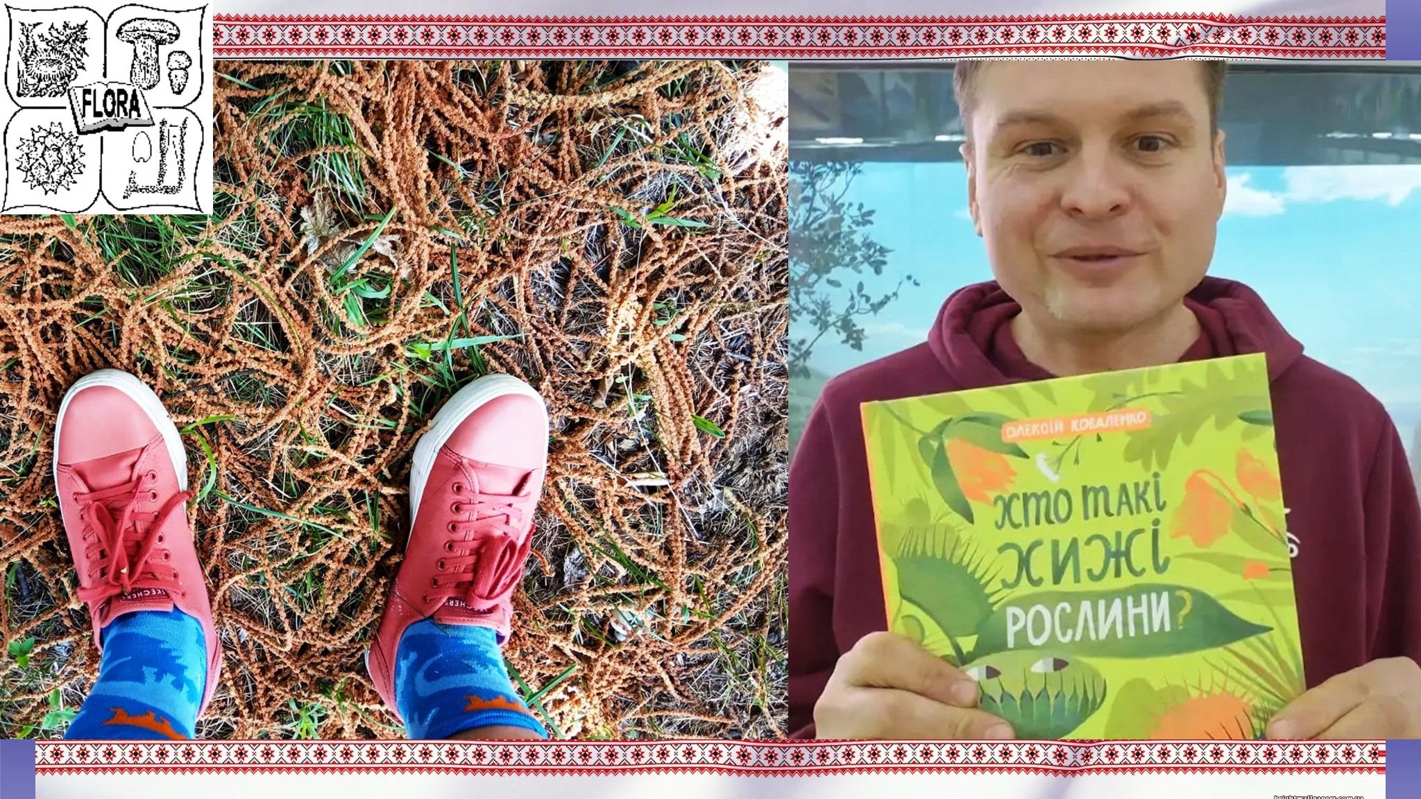 Gromada group media news