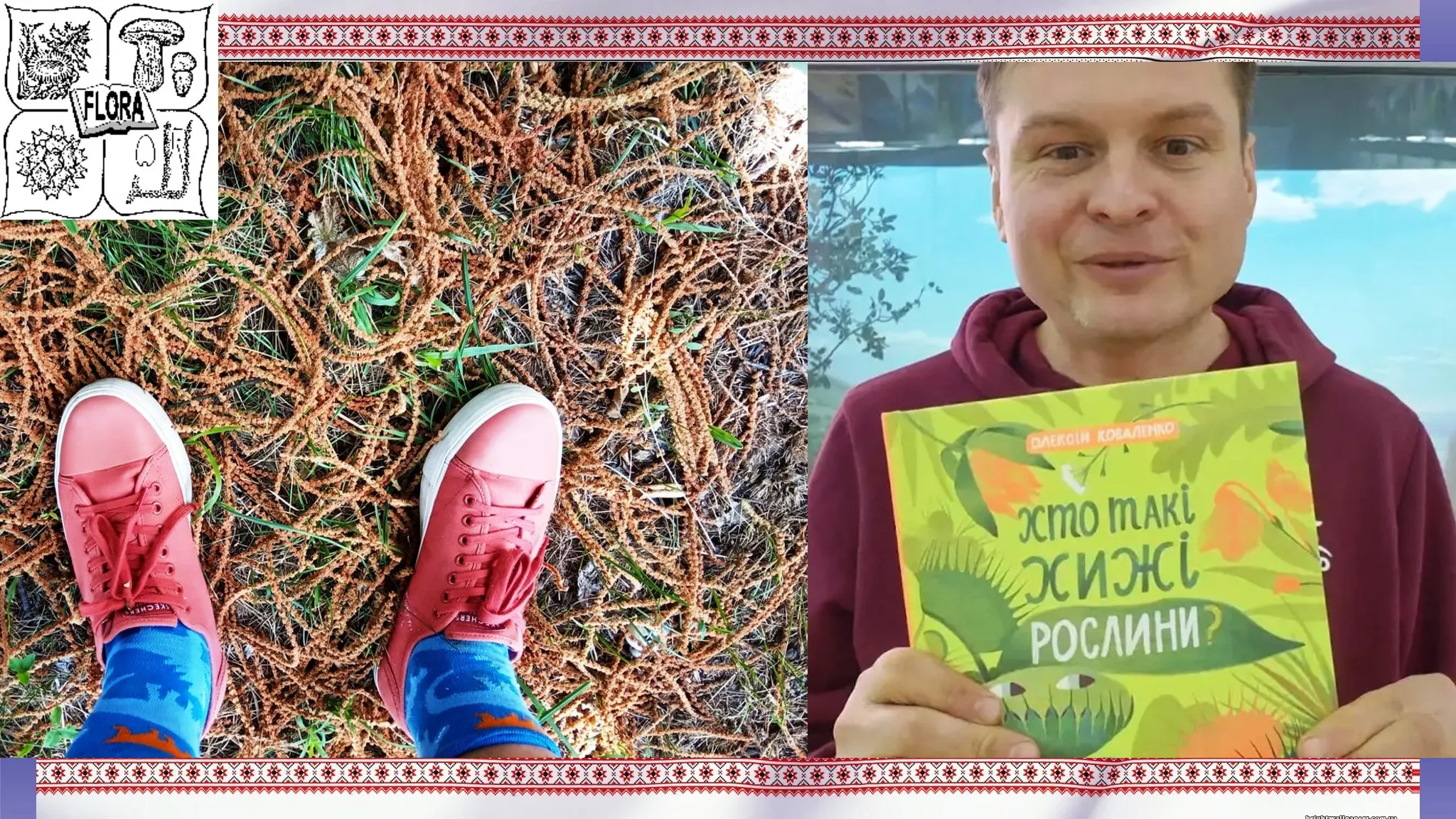 «Ботанік  в кедах». Як  вчений проводить лекції на ровері, працює в музеї і розвінчує міфи про рослини. Колаж Олени Зеленіної на порталі Gromada Group