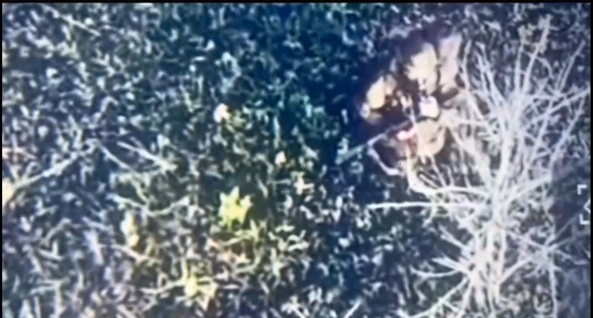 Біля Липців відмінусували чергових російських піхотинців на порталі Gromada Group