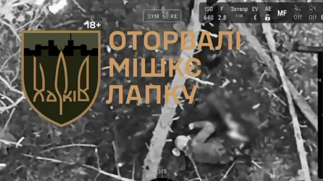 «Оторвалі мішкє лапку»: 127-ма бригада набила в лісах Харківщини чергових окупантів на порталі Gromada Group
