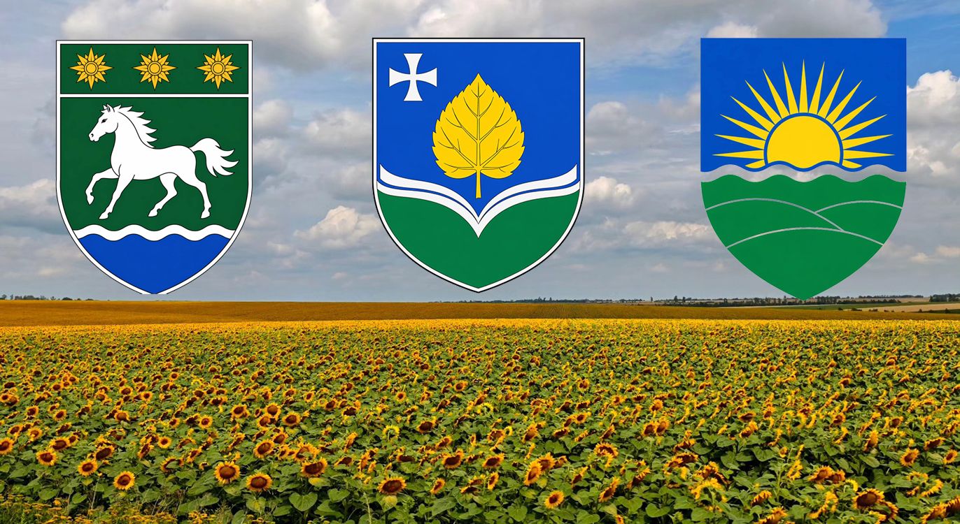 «Відповідальна робота з ідентичністю громади»: участь у конкурсі на офіційну символіку Липецької громади бере Ольга Люліна на порталі Gromada Group