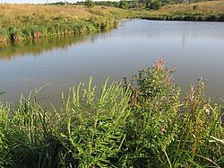 Фото ілюстративне, Вікіпедія В річці на Нововодолажчині потонула дитина на порталі Gromada Group