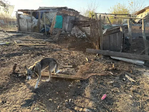 Десять населених пунктів Куп'янщини обстріляв ворог: у Грушівці поранені двоє жінок на порталі Gromada Group