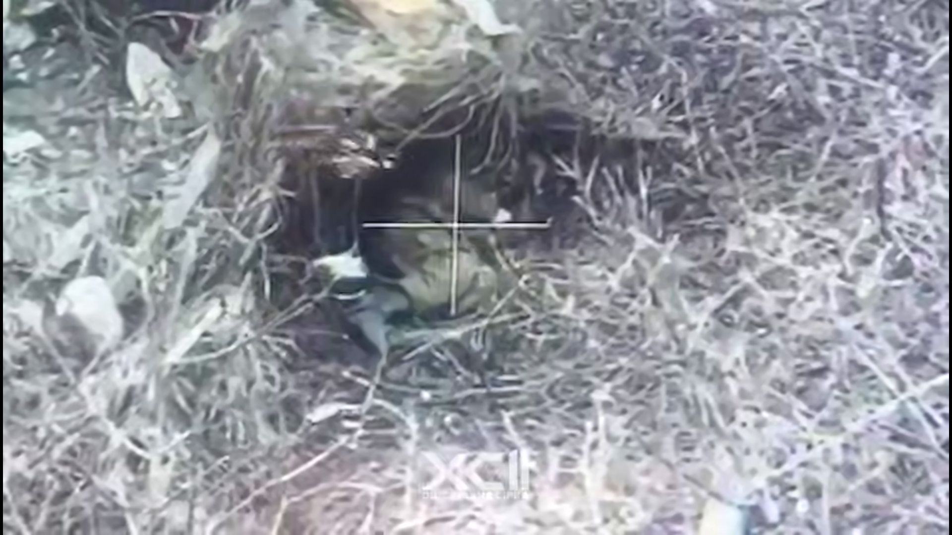 Скриншот з відео У Глибокому загарбників нищать дронарі 92 бригади на порталі Gromada Group