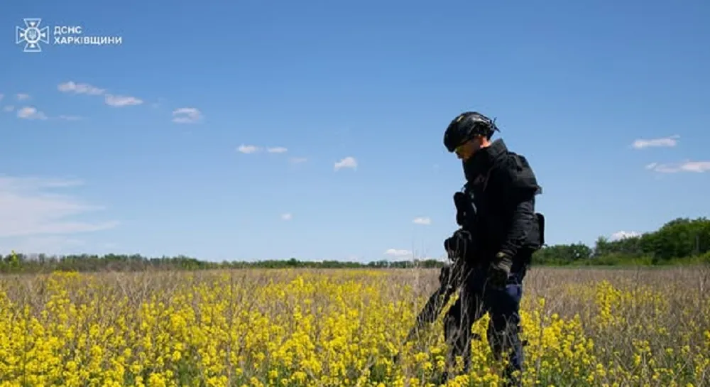 Під час розмінування полів Ізюмщини сапери ДСНС знайшли особливо небезпечні боєприпаси на порталі Gromada Group