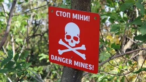 В Ізюмському районі двоє підлітків підірвалися у лісосмузі на порталі Gromada Group