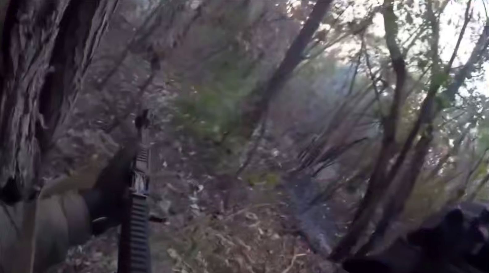 Скриншот з відео Зі штурмовою гвинтівкою крізь ліс: як на північний схід від Липців штурмували позиції окупантів на порталі Gromada Group