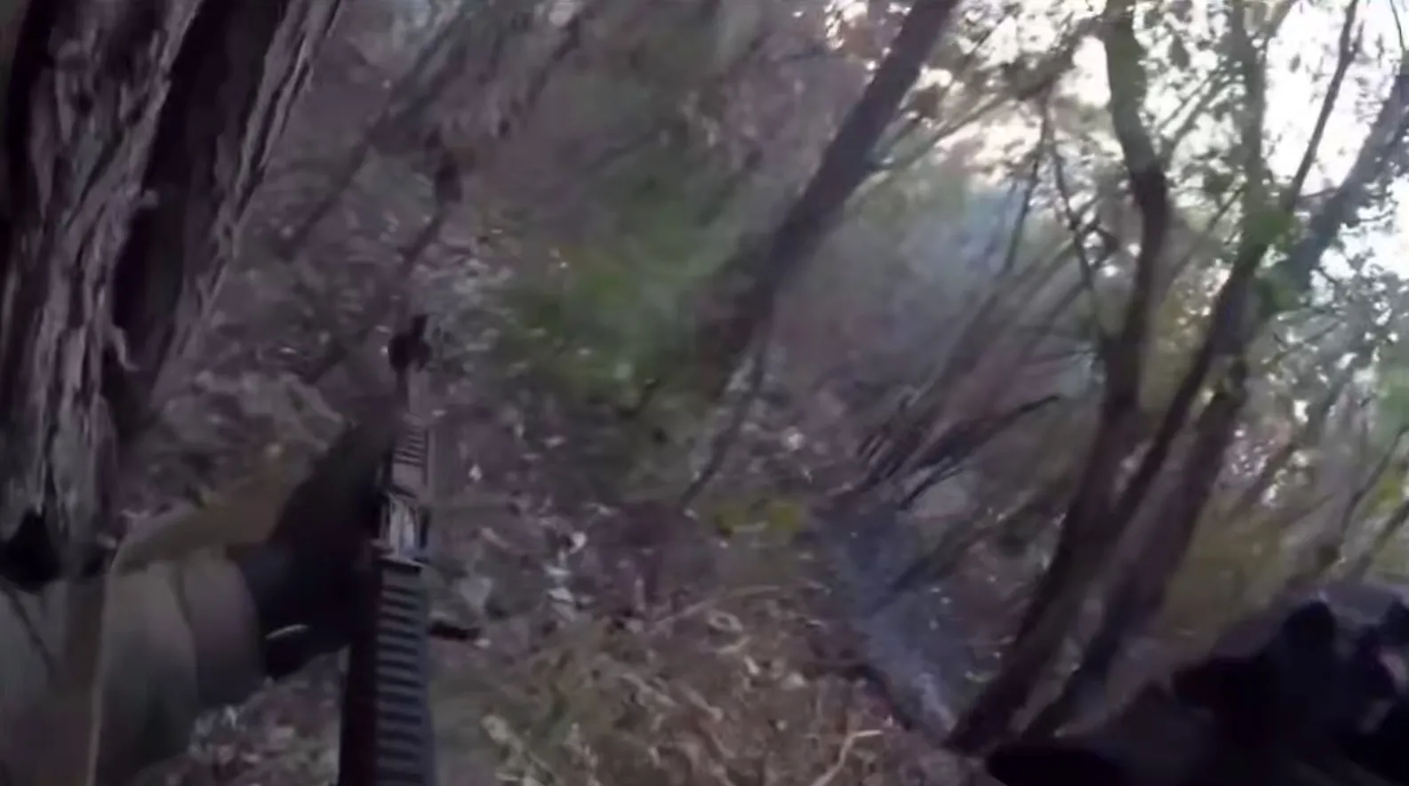 Скриншот з відео Зі штурмовою гвинтівкою крізь ліс: як на північний схід від Липців штурмували позиції окупантів на порталі Gromada Group
