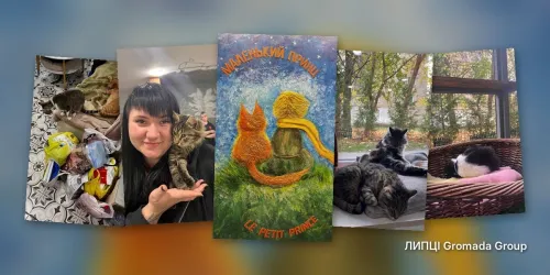 Учні Липецького ліцею відвідали котячий притулок «Маленький принц», де їхня вчителька взяла до своєї родини маленьку кицю на порталі Gromada Group